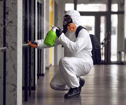 Best Industrial Mold Remediation  in USA